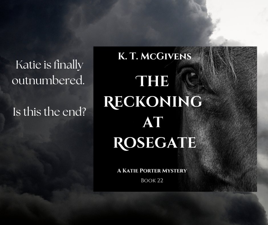 "The Reckoning at Rosegate"

a Katie Porter Mystery

Katie is assigned to cover the arrival of valuable jewels when the display stops in Fairfield. But a vicious gang is planning on stealing them, and they're determined that no one is going to get in their way. 

Unfortunately,