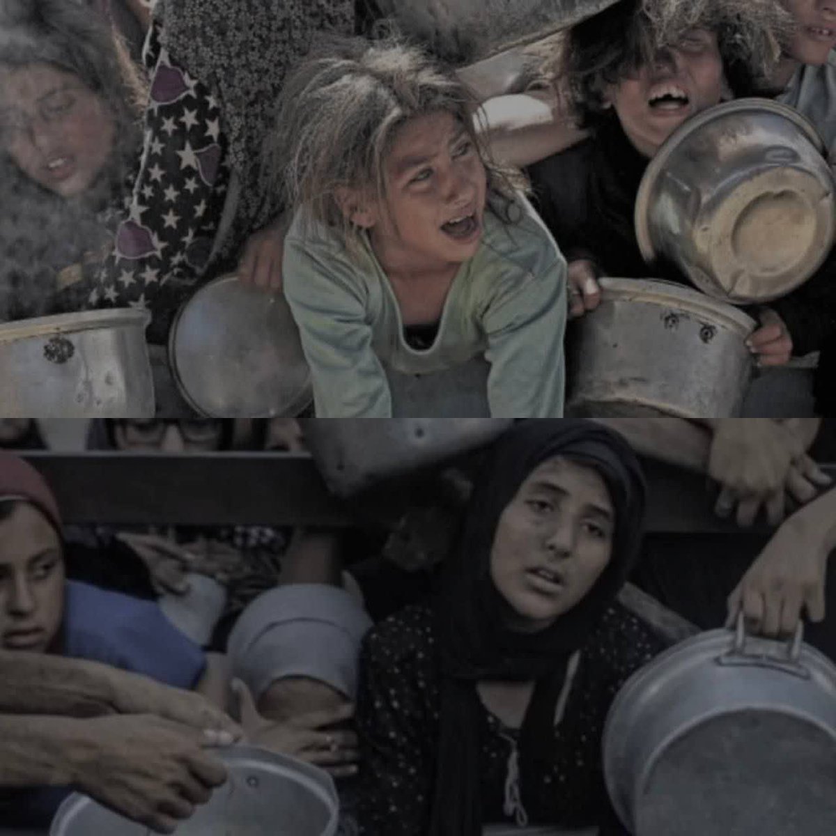 Fereshteh_e7's tweet image. ای دریغا که نشسته ایم به تماشا...🥺
