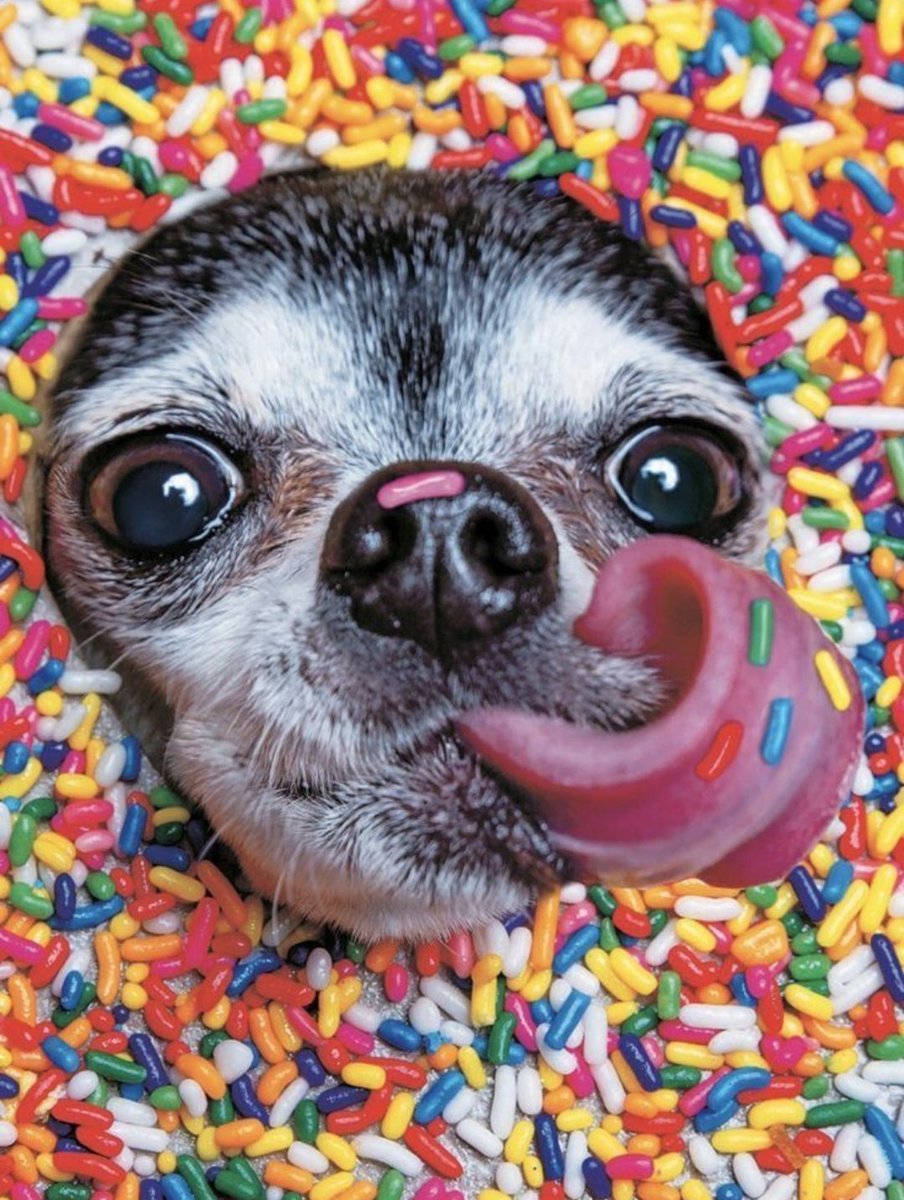Lindy112233's tweet image. It's #TongueOut Tuesday once again...🎉 
#Sprinkles #Jimmies
#HundedsandThousands