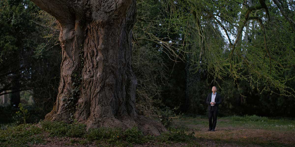 laestatuilla's tweet image. Ojo con Silent Friend, lo nuevo de Ildikó Enyedi ("On Body and Soul") que cuenta historias desde la perspectiva de un solitario árbol y cuenta con actuaciones de Tony Leung y Léa Seydoux.
Por acá el programa completo de Venecia 2025: laestatuilla.com/festivales/las…