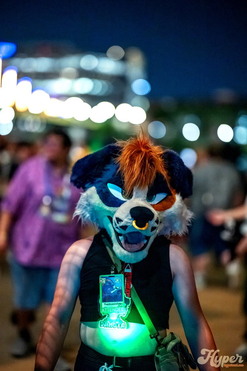 AussieFluffButt's tweet image. What are you lookin at~ 😜