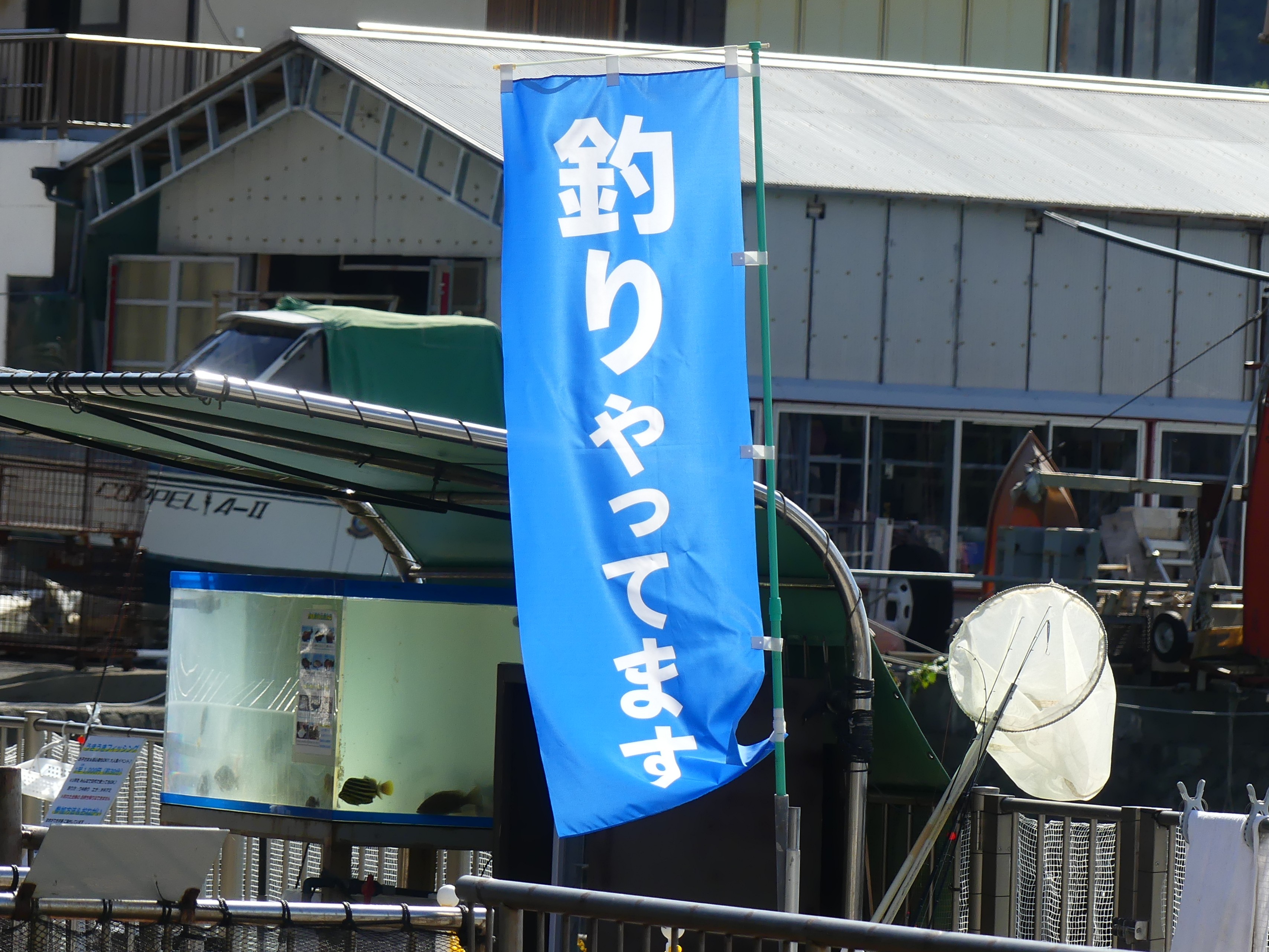 た き 🍵 on X: 