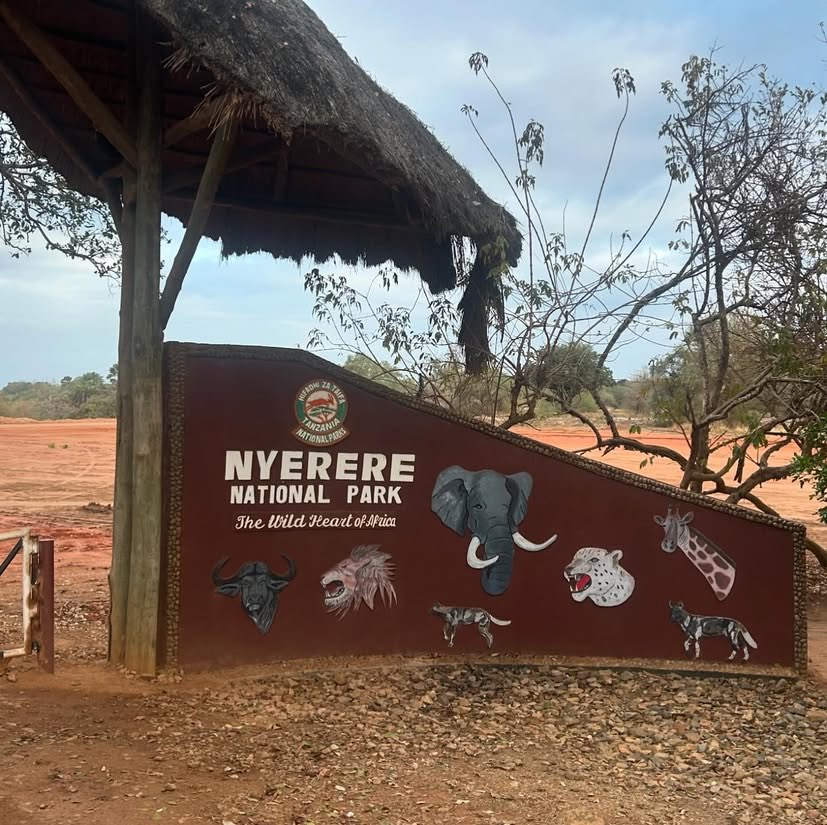 SafariGateway_'s tweet image. Join us for unforgettable daily safaris to Mikumi and Nyerere National Parks!
📍 Selous Game Reserve/Nyerere NP 🇹🇿