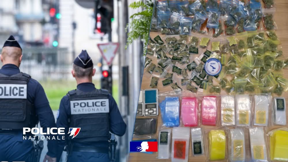 PoliceNat59's tweet image. #ContreLeNarcotrafic | Hier, une opération avec l'assistance du chien ISCO spécialisé dans la recherche de stupéfiants, a permis aux policiers de #Roubaix de saisir près de 500 grammes d'herbe de cannabis.
