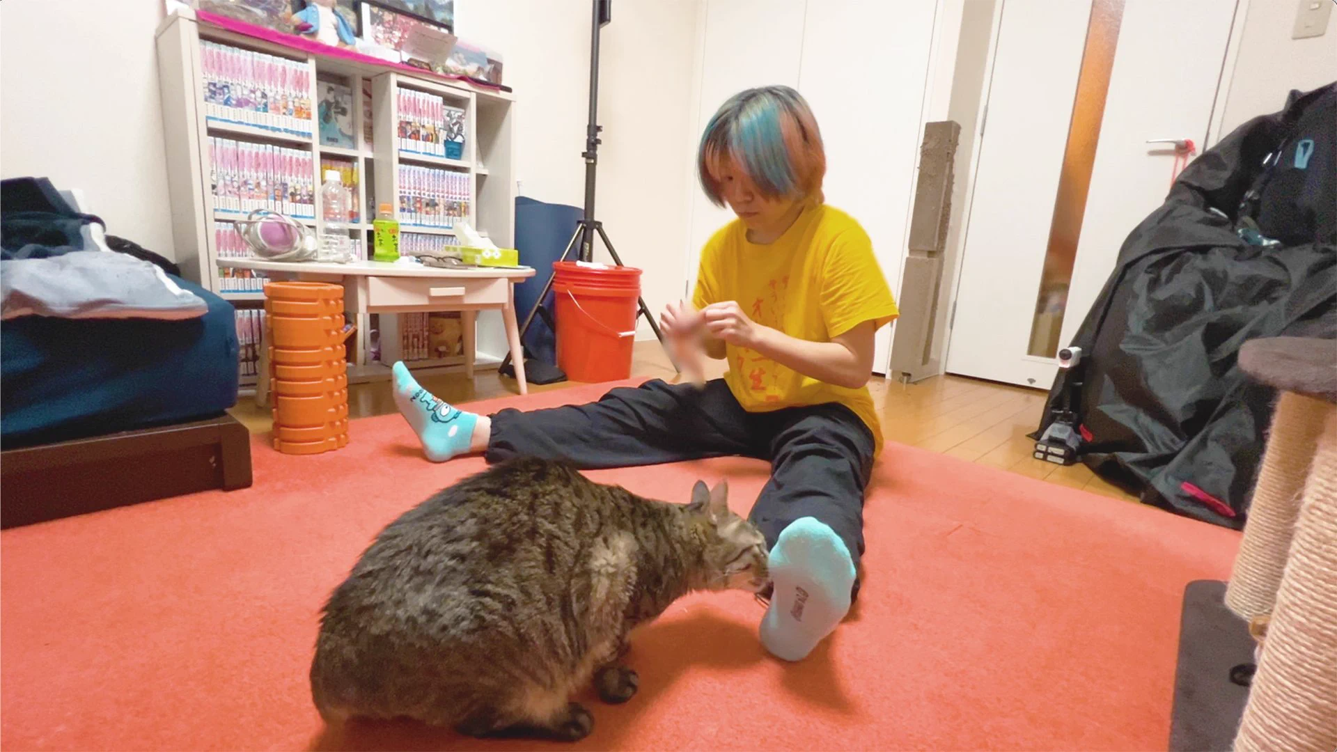 やす子 on X: 