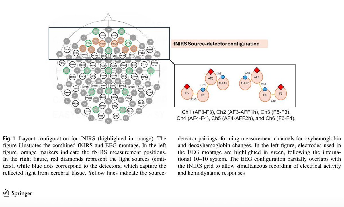 NIRx_NIRS's tweet image. 🤝🧠 What happens in the brain during live negotiation?
Acconito et al. (2025) used #multimodal #hyperscanning (#EEG + #fNIRS) to investigate how frontal and parietal regions support shared decision-making.
Check it out🔗 👉doi.org/10.1007/s00221…