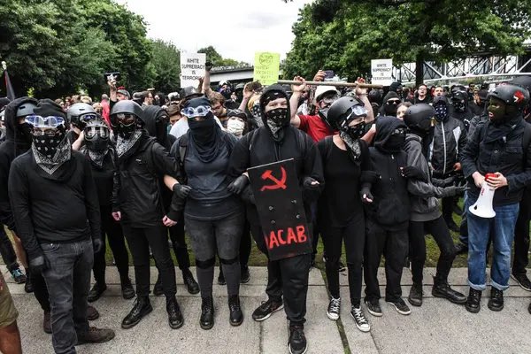 HelvidiusPrisc's tweet image. Look at all of the pantifa cowards. Nice self own by leftists.