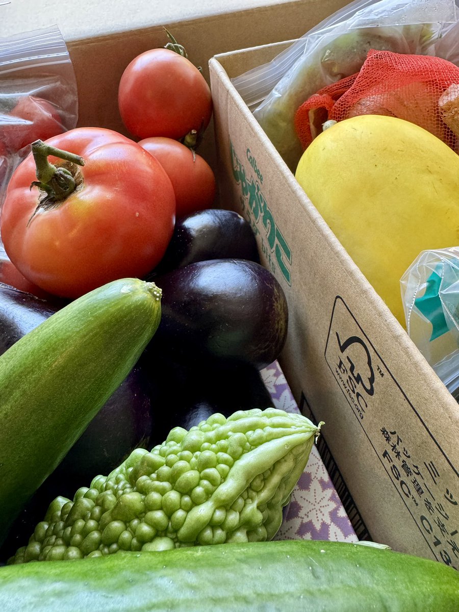 バッチリ準備をしたのに作業日すぎるが故、まだ一歩も家から出てない！そんな日もあります！

作業のお供は #ラジメニア夏まつり！
先週金曜放送のKBS京都M10+もおすすめです！言わずもがな #シャカリキ と #すいくり も！です！

岡山から野菜が届きました👴