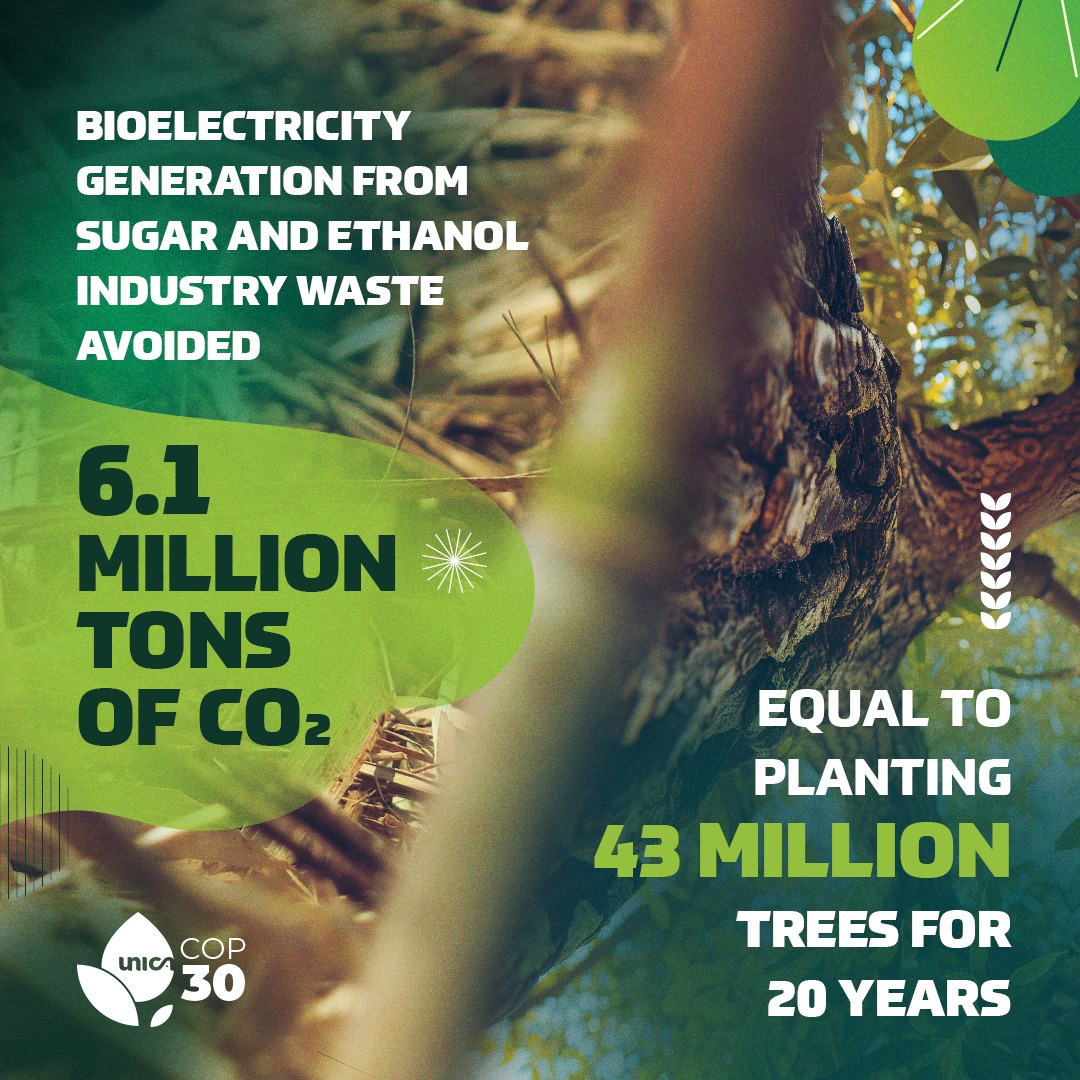 Bioelectricity from Brazil’s sugar &amp; ethanol waste avoided 6.1M tons of CO₂—equal to planting 43M trees over 20 years. A powerful example of how renewables drive decarbonization. 
#CleanEnergy #Bioelectricity #COP30 #ClimateAction