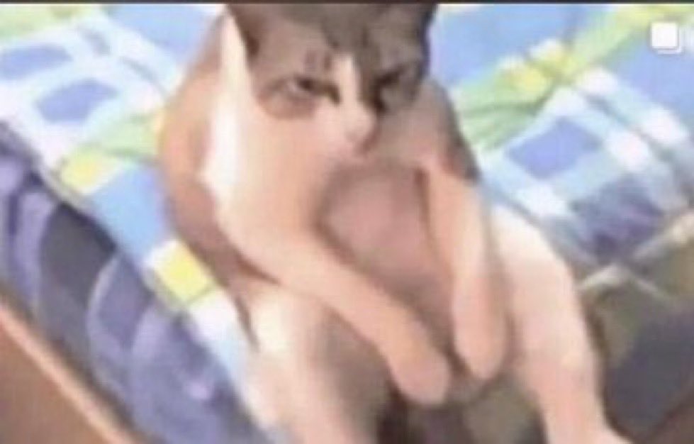 Dear ladies....
If you cannot put the Titties on the Timeline, atleast send them to my DM🥴