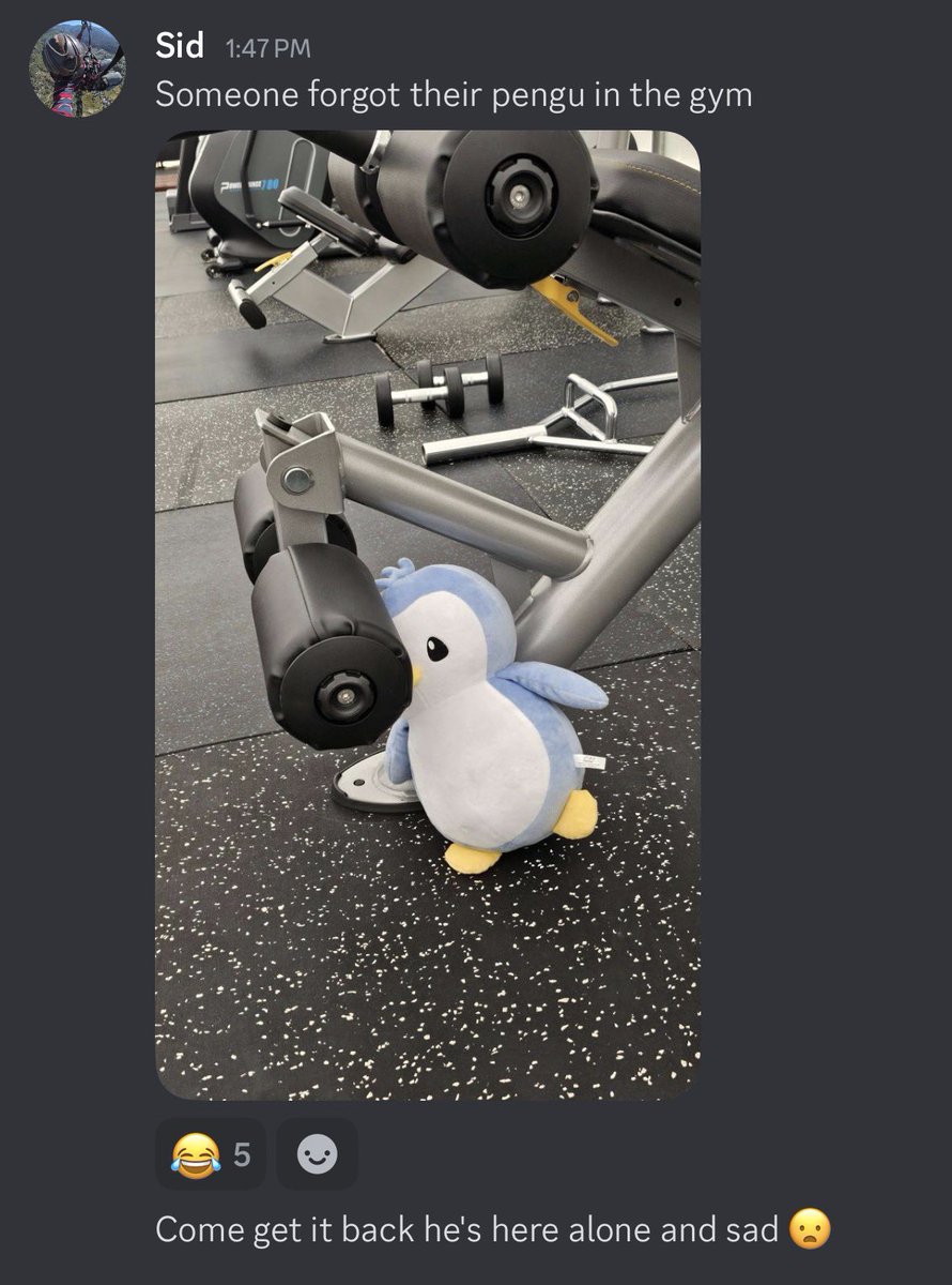 Pengu turns 4 today

NS gym’s been real quiet ever since he started cold plunging and preaching “mind waddle connection”

he’s not lost btw, just fluffing up 💪🐧