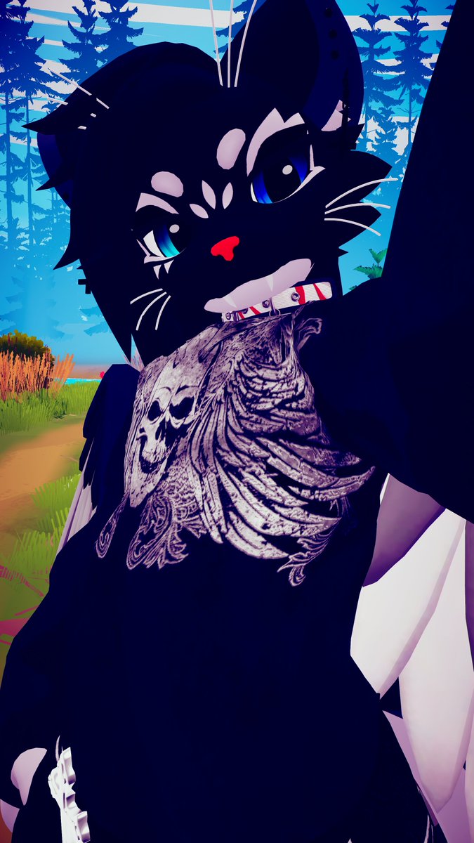 Vertexia57's tweet image. 🐱!!!