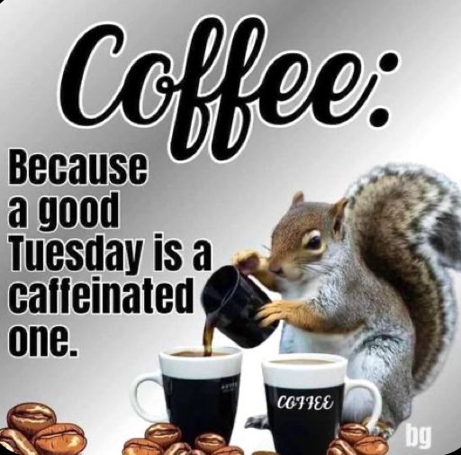 LEMay19993186's tweet image. Ahh Nuts!🥴The heat has Aunt Tilly a little squirrelly 🐿️ this morning so I gave her the day off! Happy Twos Day! Cups Up! ☕️☕️