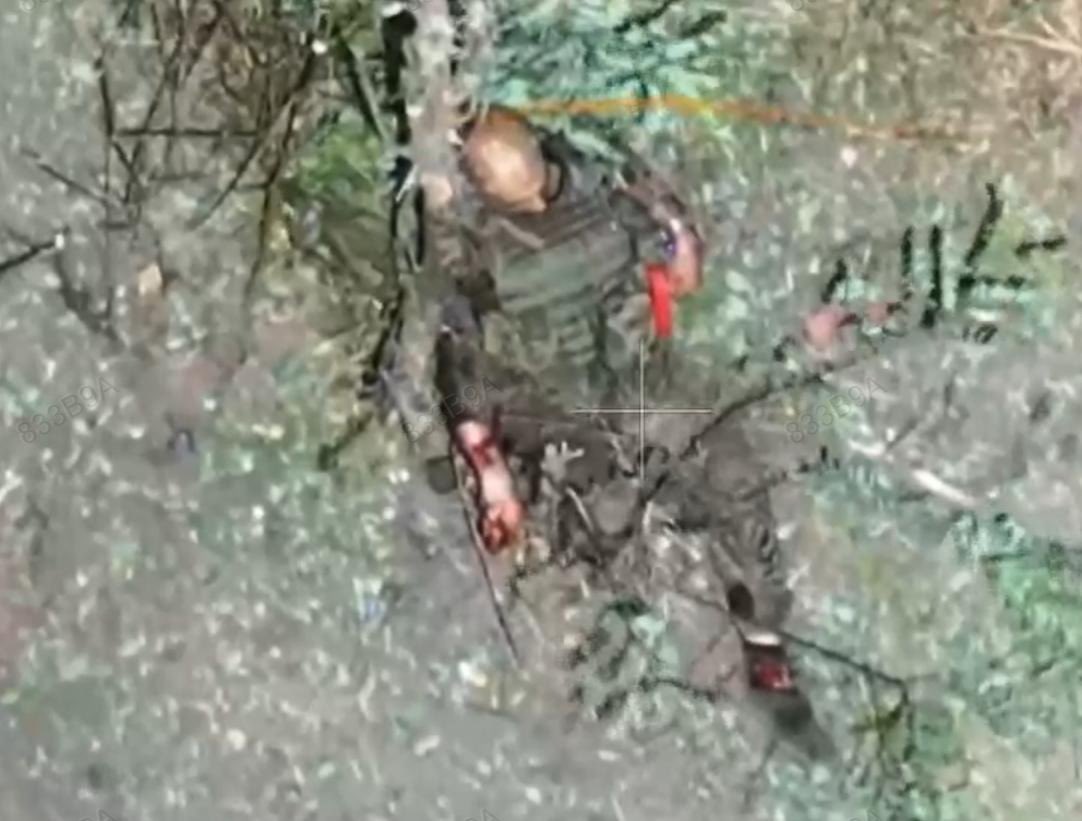напіхался довбойоб руснявий