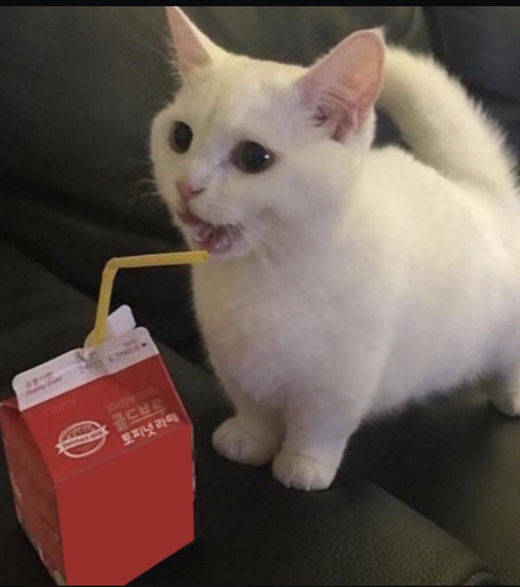 ✝️🥛Milk Drinker🥛 (@uncletoaster1) on Twitter photo 