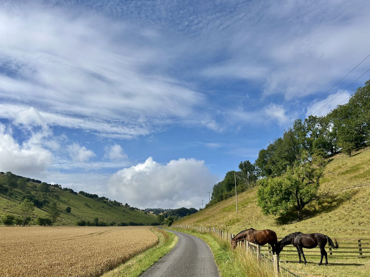 WeatherWolds's tweet image. On The Bicycle. 19°C. Horses munching grass.