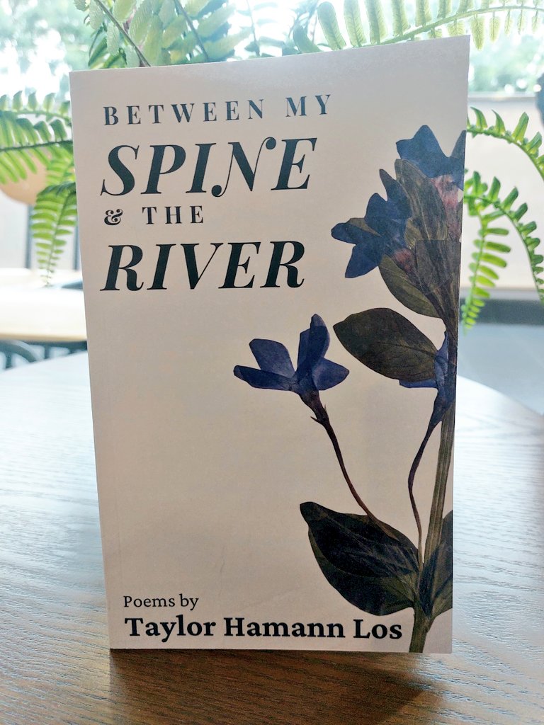 VWC_Writes's tweet image. "From deeply embodied origins, the poet conjures the profound thin spaces between womb and shadowland, fairytale and fever dream."
It was an honour to provide an endorsement for @taylorhamannlos' BETWEEN MY SPINE & THE RIVER (Ridge Books) @eastridgereview.
@TopTweetTuesday