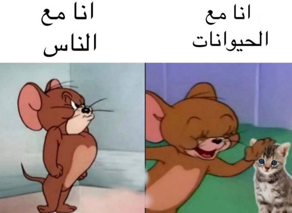 Egyptianmemees's tweet photo. https://t.co/oGitsF4x7Z