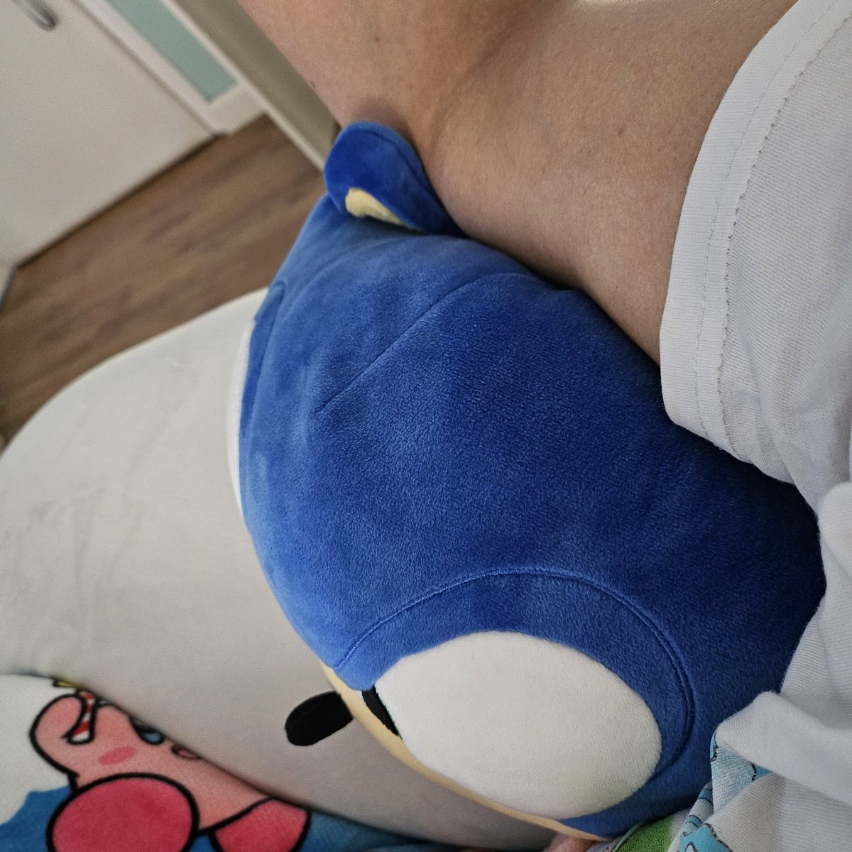FazloZX's tweet image. I&apos;m so sorry for using your head as a cushion @sonic_hedgehog lol