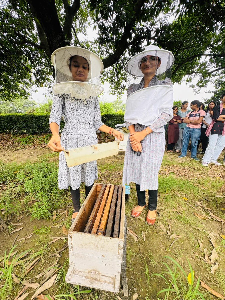 Department of Horticulture,Haryana (@horticulturehry) on Twitter photo рд╡реНрдпрд╛рд╡рд╣рд╛рд░рд┐рдХ рд╕рддреНрд░ рдордзреБрдордХреНрдЦреА рдкрд╛рд▓рди рдкреНрд░рд╢рд┐рдХреНрд╖рдг рдХрд╛ рдореВрд▓ рд╣реИрдВ! ЁЯРЭ
рдЖрдИрдмреАрдбреАрд╕реА рдореЗрдВ, рдкреНрд░рд╢рд┐рдХреНрд╖реБрдУрдВ, рдпреЛрдЧреНрдпрддрд╛ рдкреИрдХ рдХреЛ рд╢рд╣рдж рдХреА рдкреИрдХрд┐рдВрдЧ, рдЫрддреНрддреЗ рдХрд╛ рдкреНрд░рдмрдВрдзрди, рдордзреБрдордХреНрдЦрд┐рдпреЛрдВ рдХреЛ рднреЛрдЬрди рджреЗрдирд╛, рд╕рдлрд╛рдИ рдЖрджрд┐ рдЬреИрд╕реЗ рдкреНрд░рдореБрдЦ рдкрд╣рд▓реБрдУрдВ рдХрд╛ рд╡реНрдпрд╛рд╡рд╣рд╛рд░рд┐рдХ рдЕрдиреБрднрд╡ рдкреНрд░рд╛рдкреНрдд рд╣реЛрддрд╛ рд╣реИред <a href="/cmohry/">CMO Haryana</a> <a href="/DiprHaryana/">DPR Haryana</a> <a href="/satyender_HAS/">Satyender Yadav</a> рд╡реНрдпрд╛рд╡рд╣рд╛рд░рд┐рдХ рд╕рддреНрд░ рдордзреБрдордХреНрдЦреА рдкрд╛рд▓рди рдкреНрд░рд╢рд┐рдХреНрд╖рдг рдХрд╛ рдореВрд▓ рд╣реИрдВ! ЁЯРЭ
рдЖрдИрдмреАрдбреАрд╕реА рдореЗрдВ, рдкреНрд░рд╢рд┐рдХреНрд╖реБрдУрдВ, рдпреЛрдЧреНрдпрддрд╛ рдкреИрдХ рдХреЛ рд╢рд╣рдж рдХреА рдкреИрдХрд┐рдВрдЧ, рдЫрддреНрддреЗ рдХрд╛ рдкреНрд░рдмрдВрдзрди, рдордзреБрдордХреНрдЦрд┐рдпреЛрдВ рдХреЛ рднреЛрдЬрди рджреЗрдирд╛, рд╕рдлрд╛рдИ рдЖрджрд┐ рдЬреИрд╕реЗ рдкреНрд░рдореБрдЦ рдкрд╣рд▓реБрдУрдВ рдХрд╛ рд╡реНрдпрд╛рд╡рд╣рд╛рд░рд┐рдХ рдЕрдиреБрднрд╡ рдкреНрд░рд╛рдкреНрдд рд╣реЛрддрд╛ рд╣реИред <a href="/cmohry/">CMO Haryana</a> <a href="/DiprHaryana/">DPR Haryana</a> <a href="/satyender_HAS/">Satyender Yadav</a>