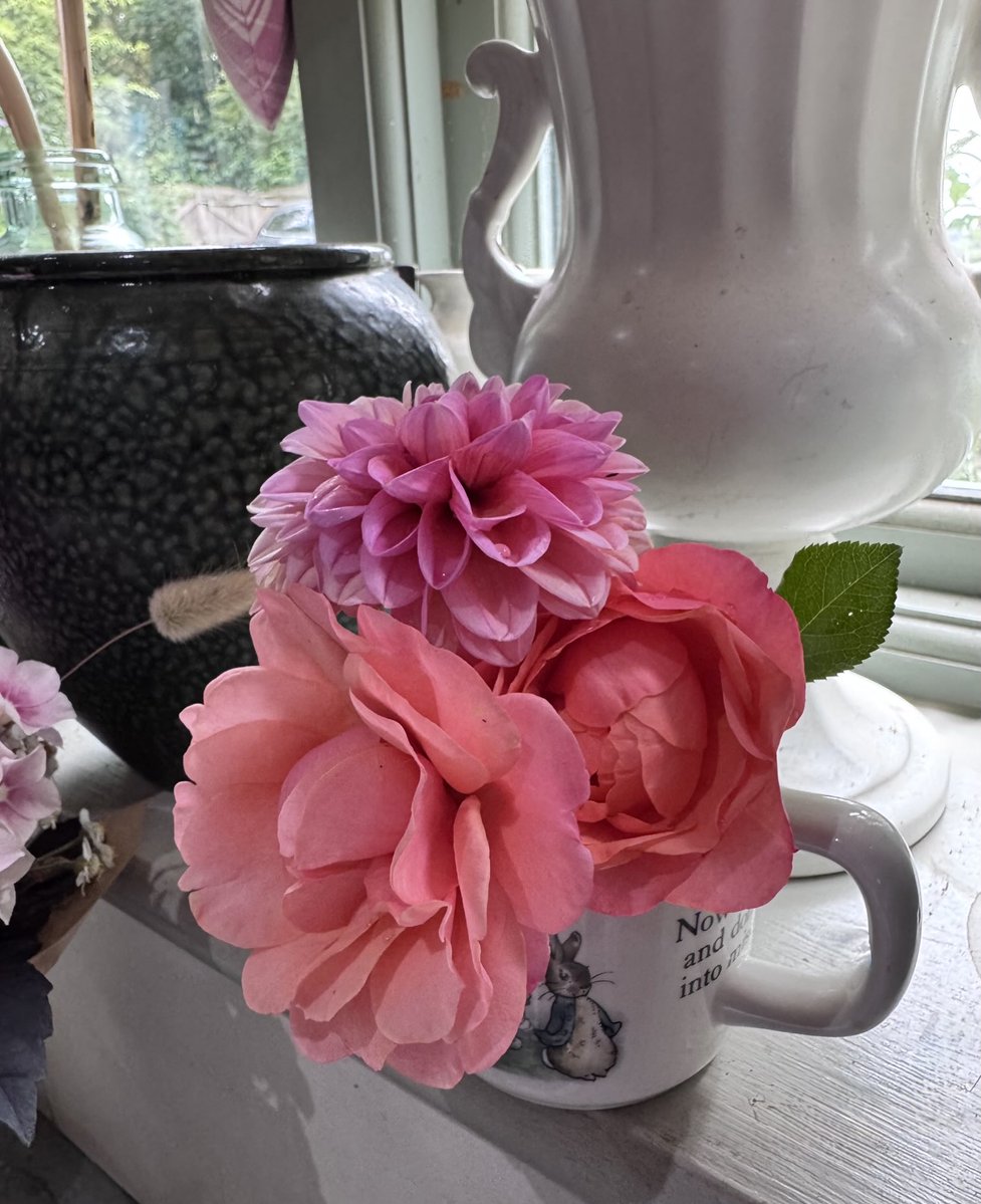 GardenBrocante's tweet image. Fallen beauties (from the heavy rain). Rain most welcome despite some casualties!