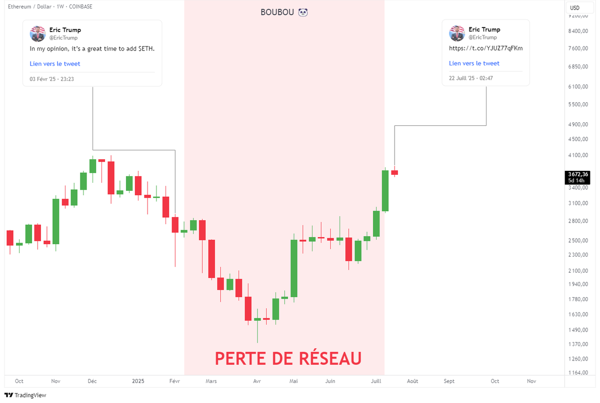 Boubou 🐼 tweet media