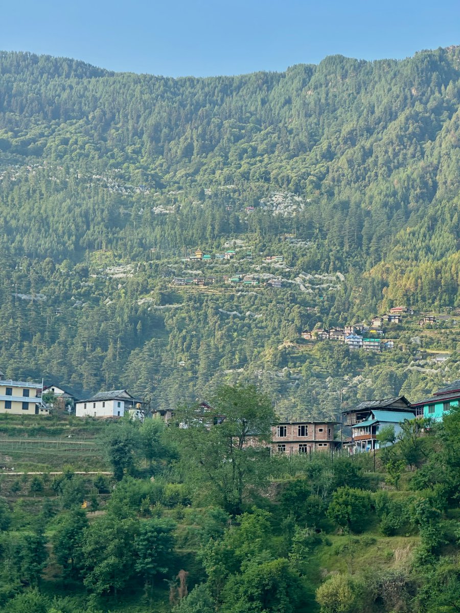 nazariyaa__'s tweet image. Somewhere in Himachal 🌲
Just quiet mountains, temples and silence.