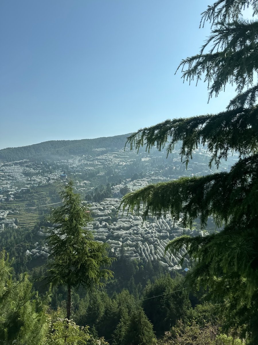 nazariyaa__'s tweet image. Somewhere in Himachal 🌲
Just quiet mountains, temples and silence.