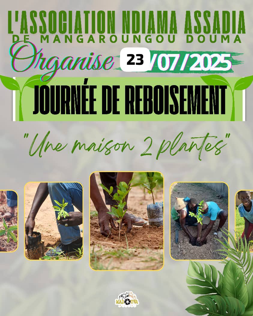 SenegalVertChal's tweet image. Amul Xaaranté ! Takk rek Jukk🪴
Ousmane, citoyen exemplaire de Casamance, montre l’exemple en mobilisant sa communauté pour planter des arbres dans le cadre du #SenegalVertChallenge.
Et si tout le monde le faisait ? Baparé diko topato ☺️
Loy Xaar ? Demal Saxali Garab Sëñ bi 😁