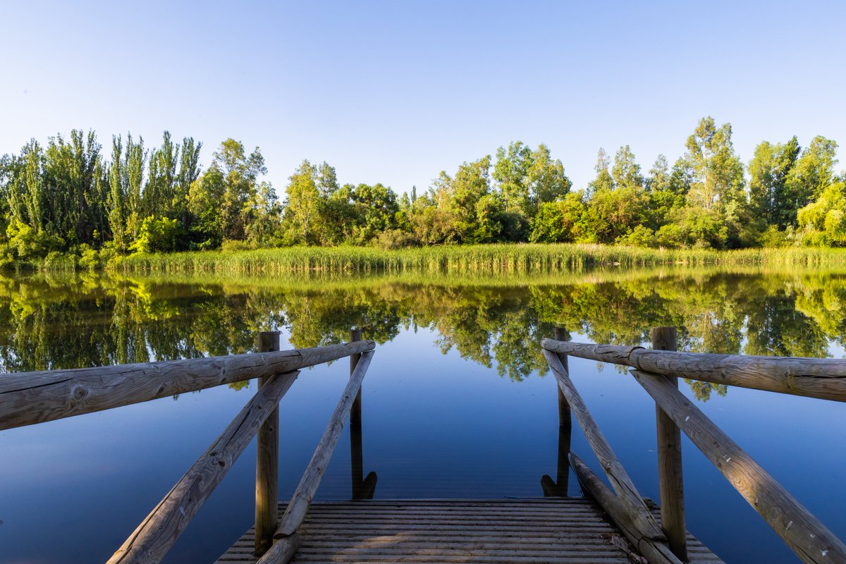 Extremadura Turismo (@extremadura_tur) on Twitter photo 🟦#Extremadura es la región de España con más banderas azules (7) en interior. Y fue pionera al obtener la 1ª en de agua dulce (Orellana, 2010).
💦También puedes darte un chapuzón en otras piscinas naturales, gargantas y playas fluviales.
👉linktr.ee/extremadura_tur
<a href="/cultura_EXT/">Cultura, Turismo, Jóvenes y Deportes</a> 🟦#Extremadura es la región de España con más banderas azules (7) en interior. Y fue pionera al obtener la 1ª en de agua dulce (Orellana, 2010).
💦También puedes darte un chapuzón en otras piscinas naturales, gargantas y playas fluviales.
👉linktr.ee/extremadura_tur
<a href="/cultura_EXT/">Cultura, Turismo, Jóvenes y Deportes</a>