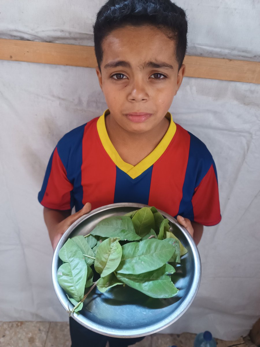 eslamomkhader's tweet image. Would you accept that your only child eats tree leaves to survive?
Look at my son, he needs you.
Do anything to save him… make the voices of Gaza’s children reach the world.
chuffed.org/project/eslamo…