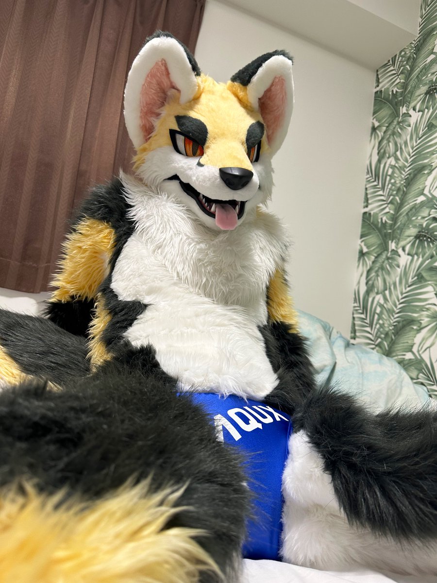 hozuKa_AD (@hozuka_ad) on Twitter photo 