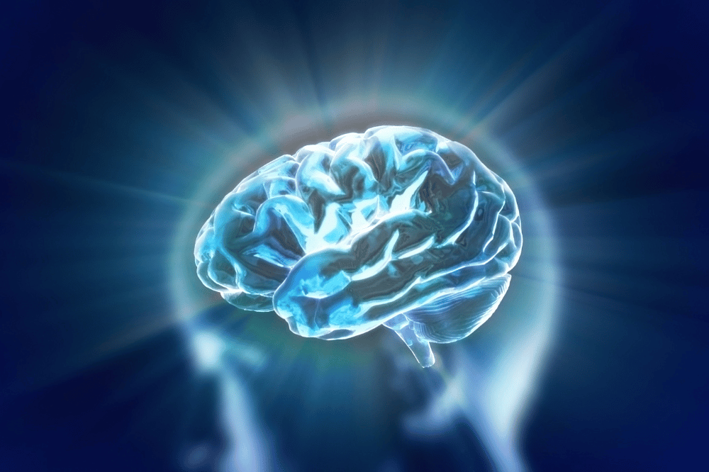 Salud cerebral 🧠 para todas las edades: las enfermedades neurológicas afectan a más de 2⃣3⃣ millones de personas en España 🇪🇸

<a href="/seneurologia/">SEN</a> <a href="/ConsejoCerebro/">Consejo del Cerebro</a> 

medicosypacientes.com/articulo/salud…