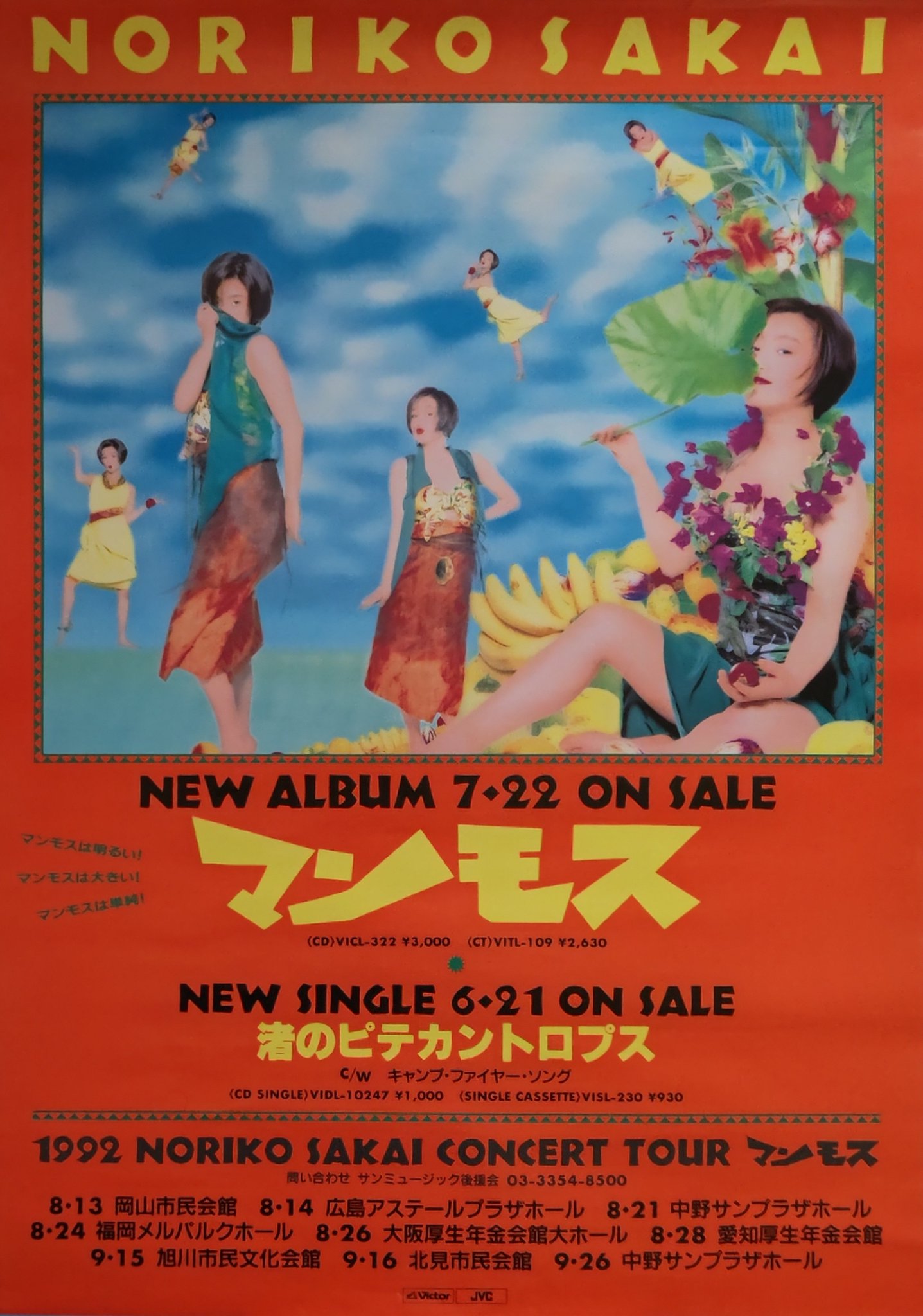 酒井法子 マンモス どんちゃん✪ on X: 