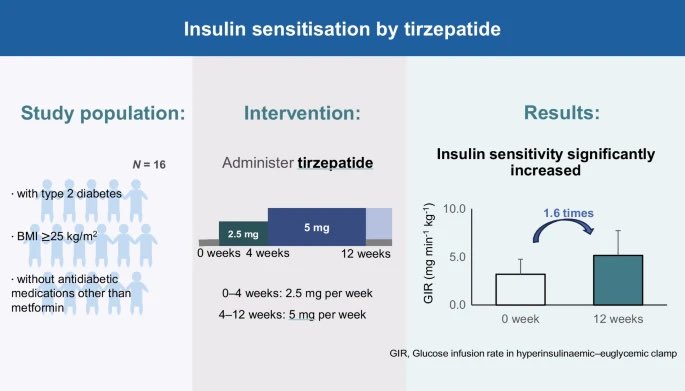 DanielJDrucker's tweet image. Does Tirzepatide improve #insulin sensitivity independent of #weightloss ? link.springer.com/article/10.100… @DiabetologiaJnl