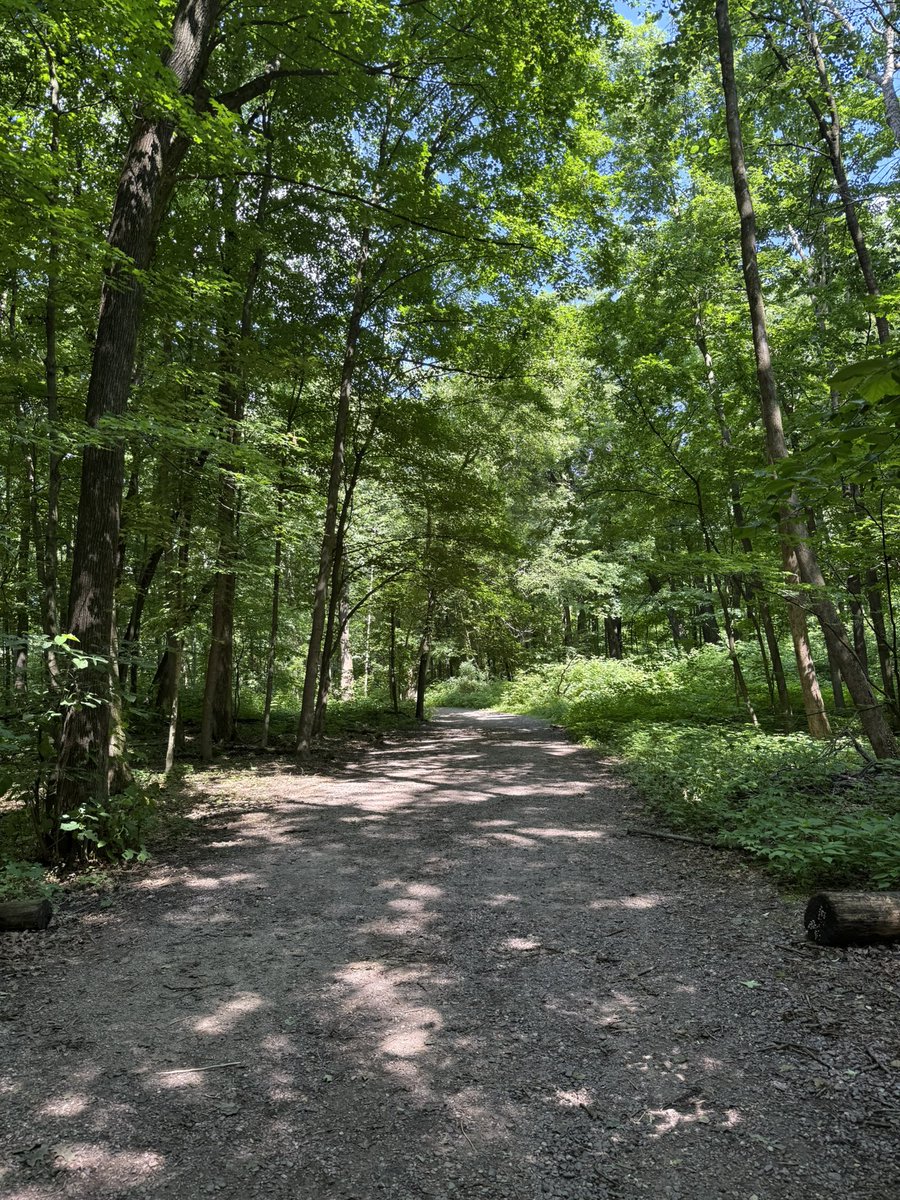 Popswithhops's tweet image. I thought it would be shorter with less elevation🤦🏼♂️
#TrailTuesday