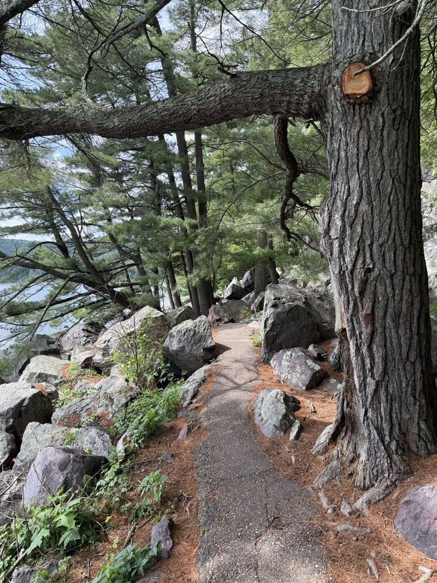Popswithhops's tweet image. I thought it would be shorter with less elevation🤦🏼♂️
#TrailTuesday