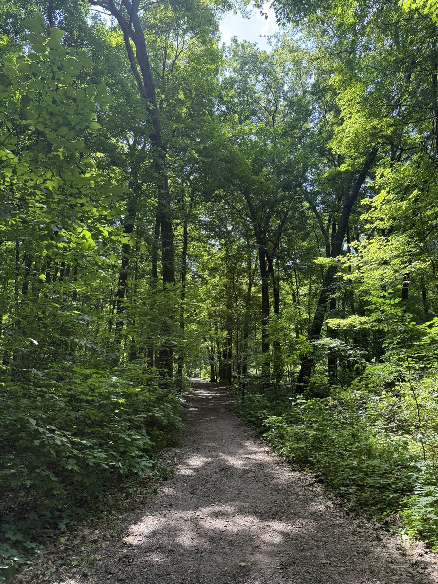 Popswithhops's tweet image. I thought it would be shorter with less elevation🤦🏼♂️
#TrailTuesday