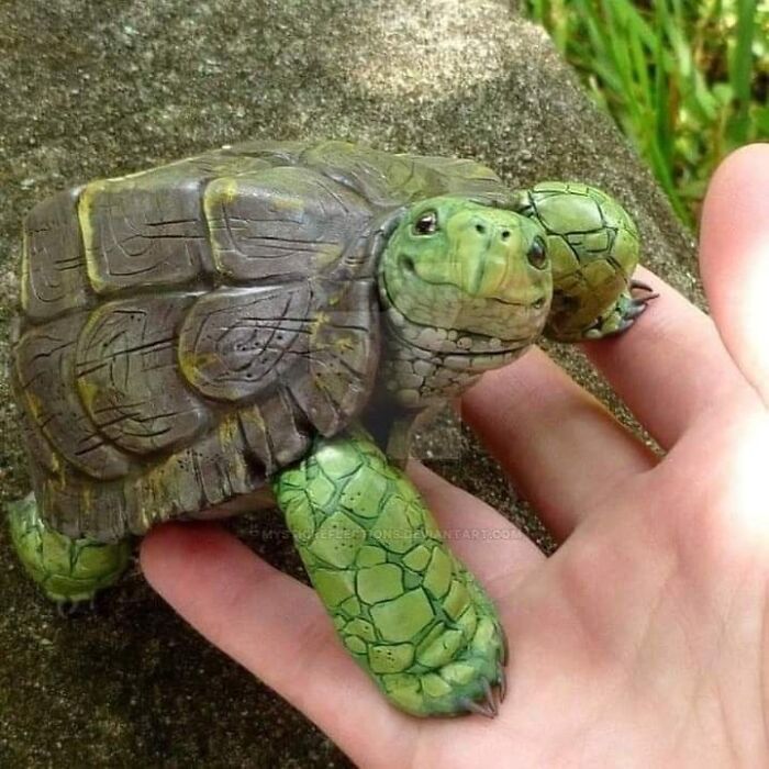 Doctor_lex HUDL ၊||၊ DeSpeed ၊||၊ (@heis_drlex05) on Twitter photo Is it too late to get a GM from <a href="/turtleclubhouse/">Turtle.Club (🐢,💚)</a> fam
It's a beautiful day
GM to all that GM back 🐢💚 and bring that Ur ETH and come make good yields from them on turtle's vaults Is it too late to get a GM from <a href="/turtleclubhouse/">Turtle.Club (🐢,💚)</a> fam
It's a beautiful day
GM to all that GM back 🐢💚 and bring that Ur ETH and come make good yields from them on turtle's vaults
