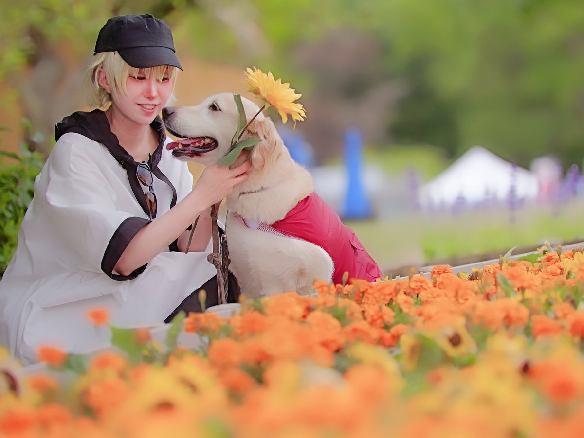 11Lightning's tweet image. 海にひまわりにまたアネト号と撮影行きたくなった～🐶🌻