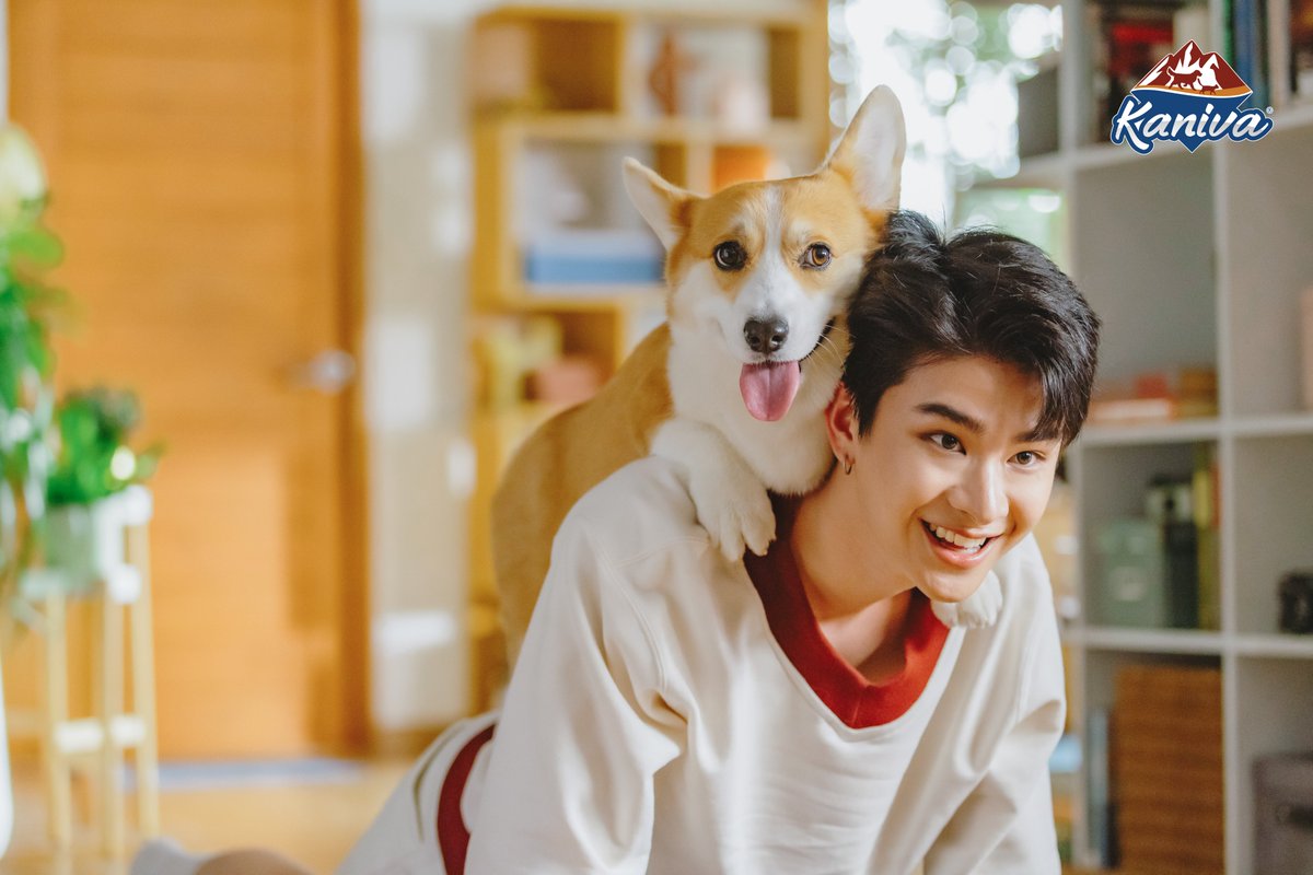 Kaniva Pet Food (@kanivaofficial) on Twitter photo 