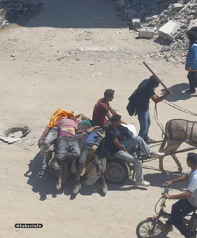 Saye_2790's tweet image. رفته بودند تا با غذا پیش فرزندانشان برگردند، اما فقط پیکرهای بیجانشان برگشت
بمیرم برا شما مظلومترین های عالم که درهمی از آن ۵ تریلیون دلار خوش رقصی حکام عرب برای ترامپ سهم شما نبود!
#مرگ_بر_اسرائیل_کودک_کش
#مرگ_برآمریکا