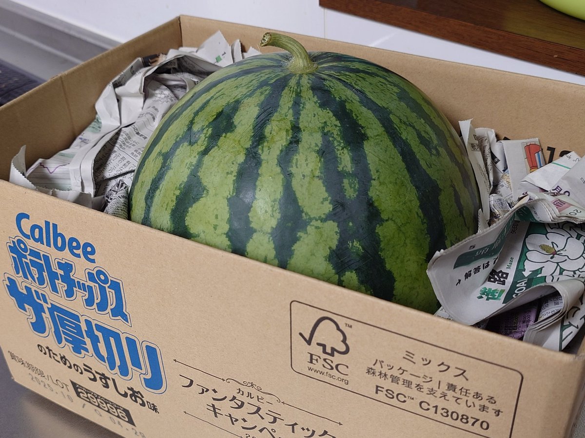 ginzhake's tweet image. すいか！もらった！！ごりっぱ！！！