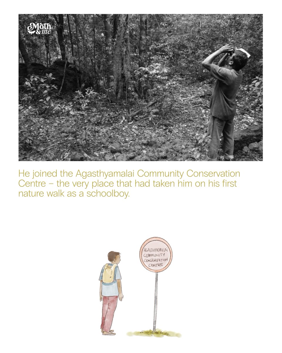 atree_org's tweet image. This National Moth Week, we bring you the story of  Thalavaipandi S., whose encounters with nature as a schoolboy became the very foundation of his life. 

Over the next few days, join us as we share snapshots from his journey into the fascinating world of moths. Stay tuned!