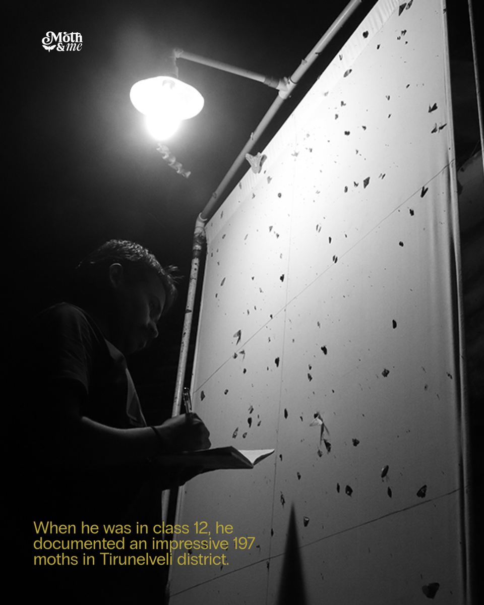 atree_org's tweet image. This National Moth Week, we bring you the story of  Thalavaipandi S., whose encounters with nature as a schoolboy became the very foundation of his life. 

Over the next few days, join us as we share snapshots from his journey into the fascinating world of moths. Stay tuned!