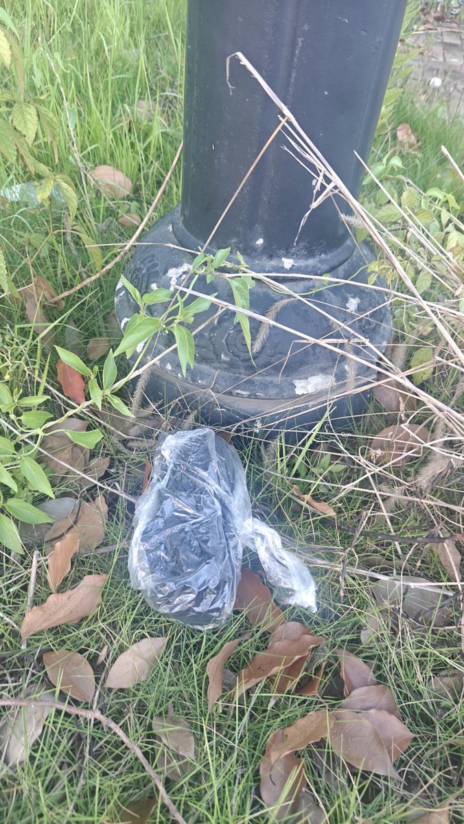 穿了三天的厚黑袜子放在恒大门口充电桩停车场的某个电线杆下面了，有缘人快去找找看吧，找到了几个给我反馈一下味道哈😄😉