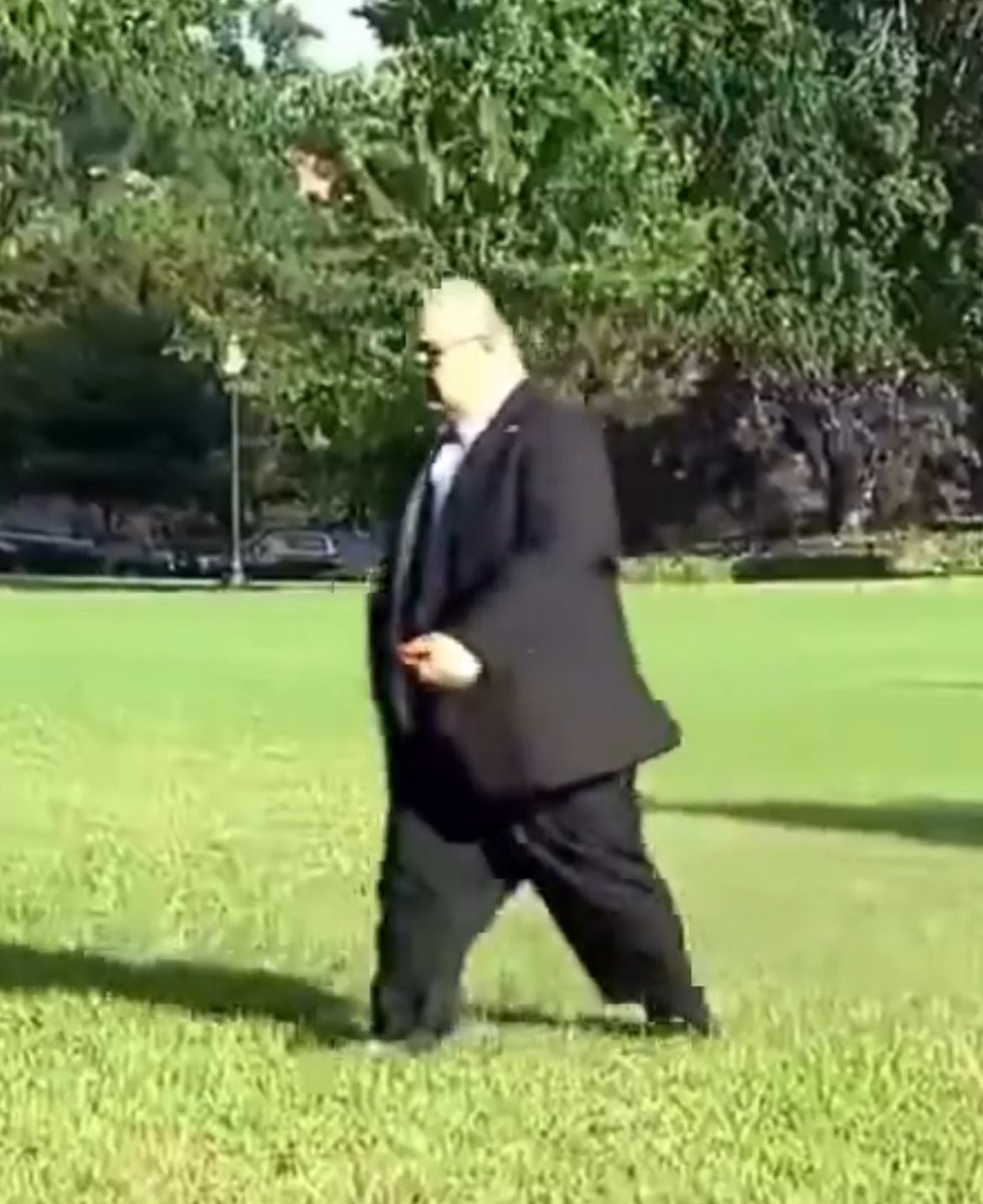 Factschaser's tweet image. Trumpโs White House Comms Director Steven Cheung loses 10% of height when walking in grass
