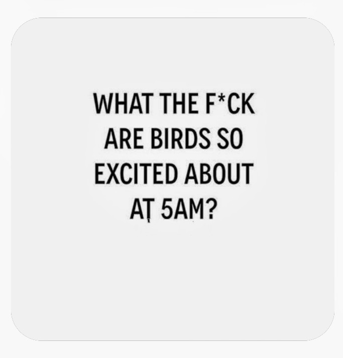 RachelCerexhe's tweet image. Morning Twitter 🩷
Need a few more coffee before i can put the "Good" in the Good morning 🙄
Hope y'all have a great day 🩷