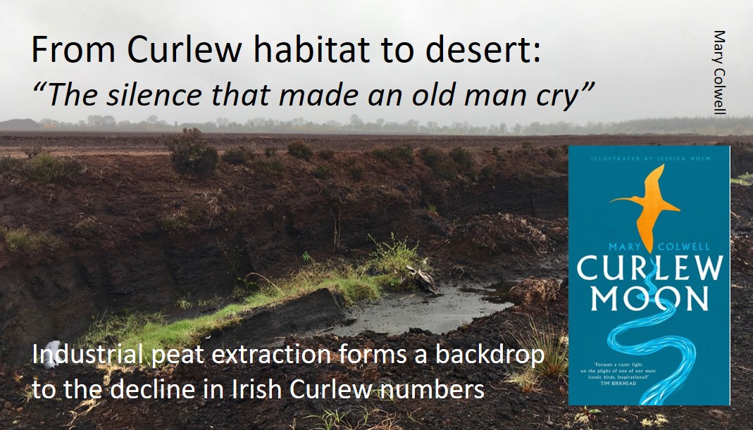 GrahamFAppleton's tweet image. Lovely Curlew article by Mary Colwel (@curlewcalls) in the latest @Natures_Voice magazine.
Her 500-mile walk and her excellent book 'Curlew Moon' are discussed in this blog:
wadertales.wordpress.com/2018/04/29/cur…
#ornithology