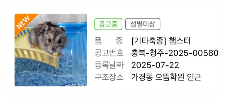 zyorang's tweet image. 충북 청주 | 드워프 햄스터 1마리 유기
네이버 카페 &lt;내반지&gt;에서 해당 아이의 임보/구조/ 이동 봉사를 도와주실분을 찾습니다! 함께하고 싶으시다면 연락 부탁드려요
cafe.naver.com/mypetrodent/38…